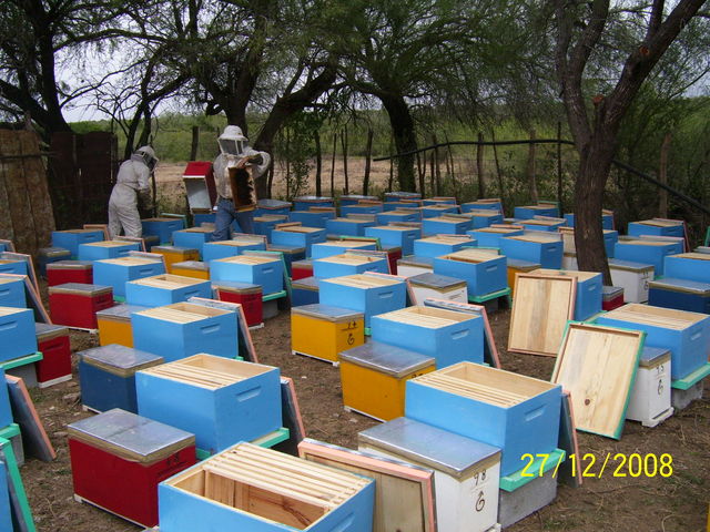 entrega de nucleos 
